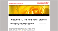 Desktop Screenshot of ned-nanbpwc.org